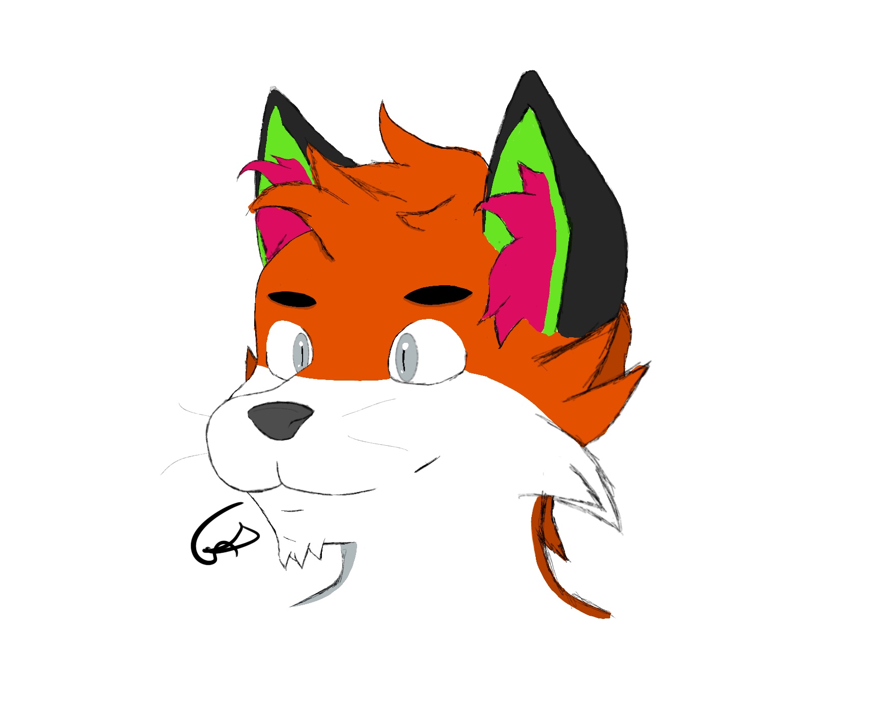 Orange_Fox.jpg